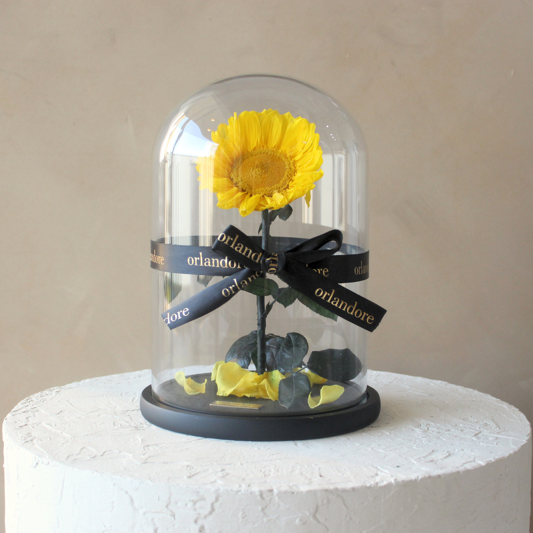 the-everlasting-sunflower