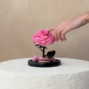 Mini Everlasting Rose Dome | Bright Pink