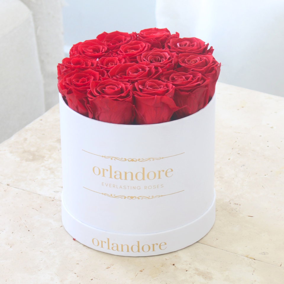 Medium Round Rose Box | Tall