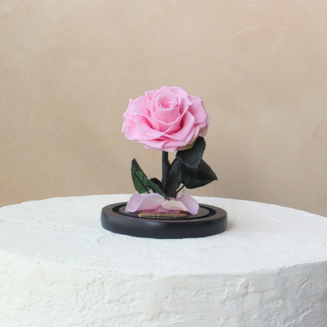 Mini Everlasting Rose Dome | Pink