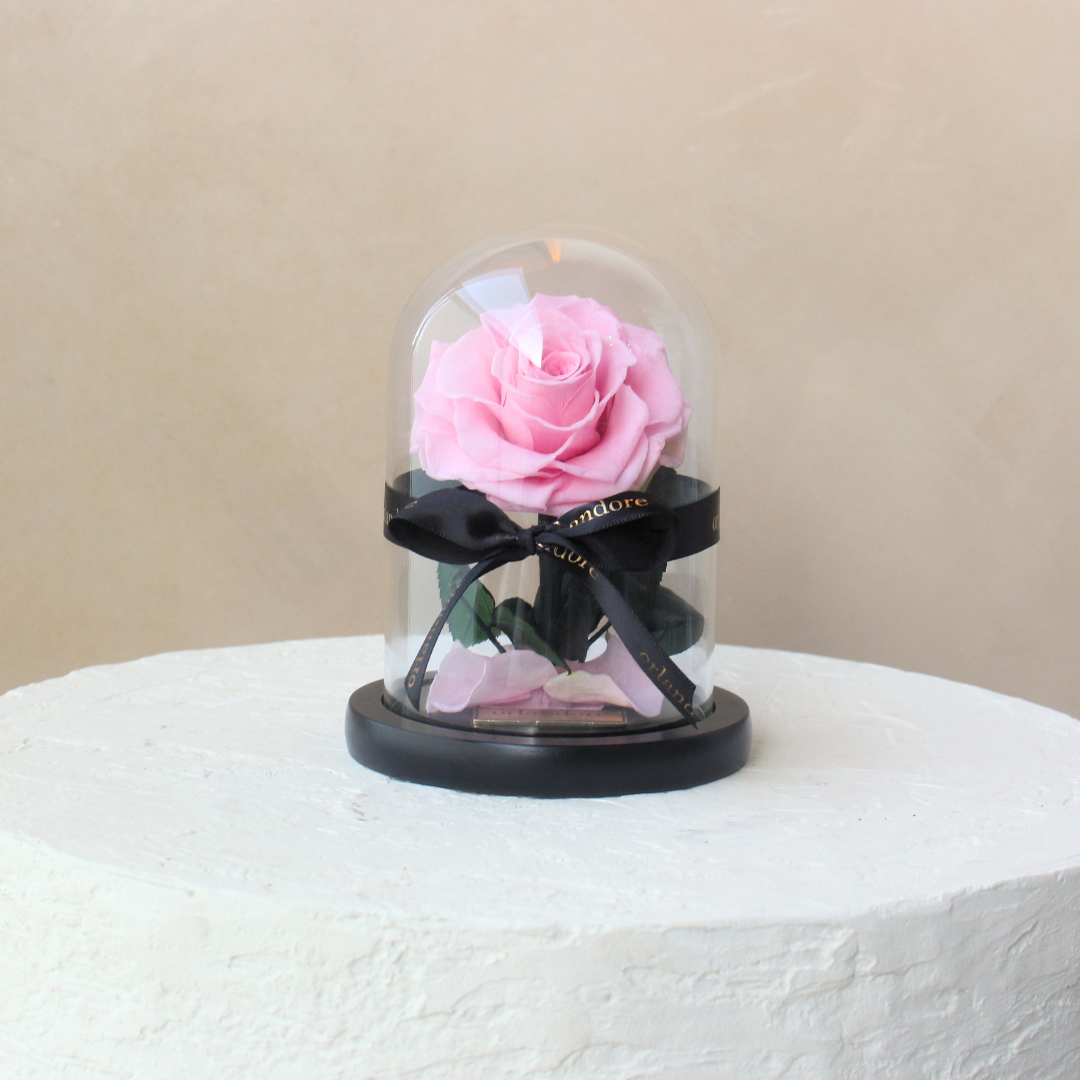 Mini Everlasting Rose Dome | Pink