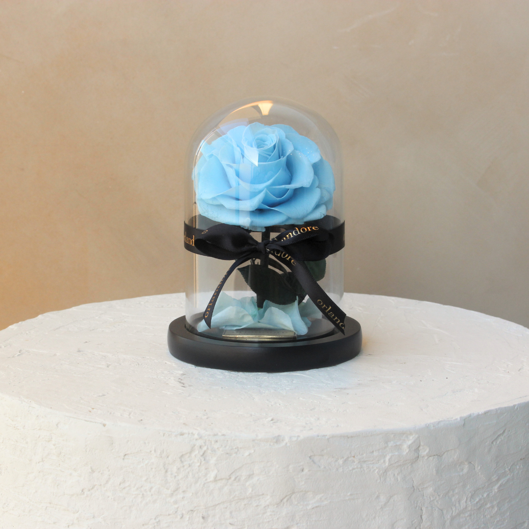 Mini Everlasting Rose Dome | Baby blue