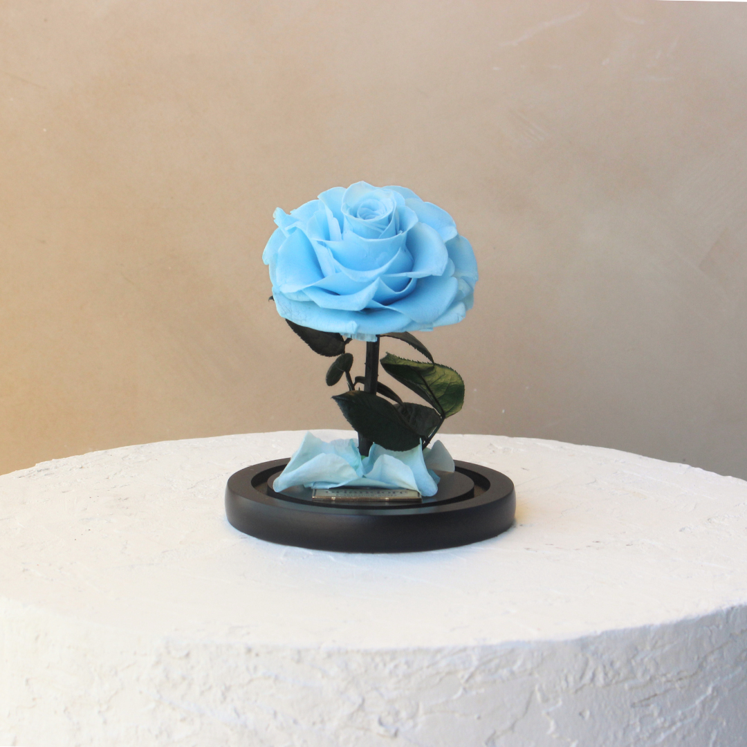 Mini Everlasting Rose Dome | Baby blue