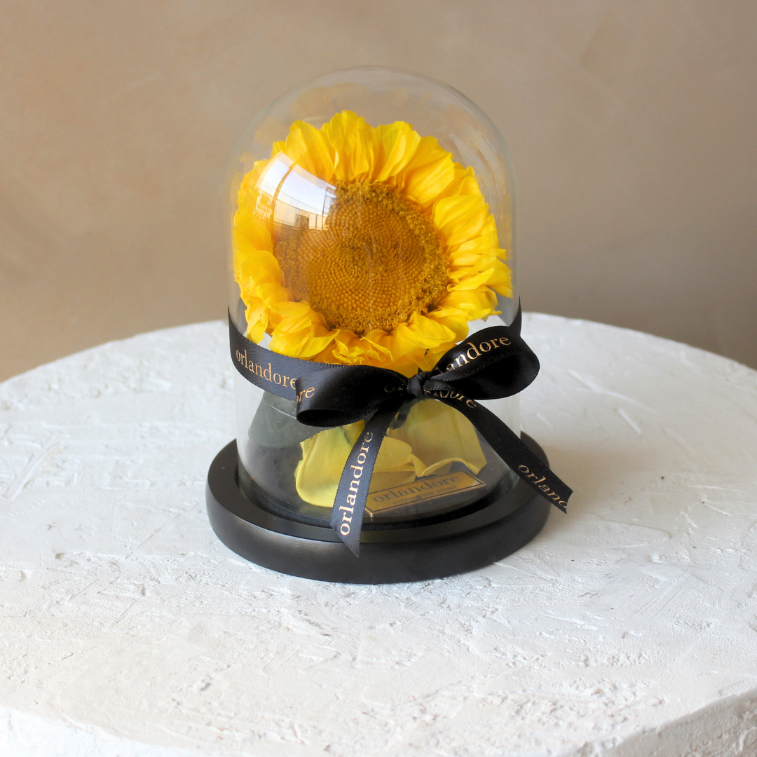 Mini Everlasting Sunflower Dome