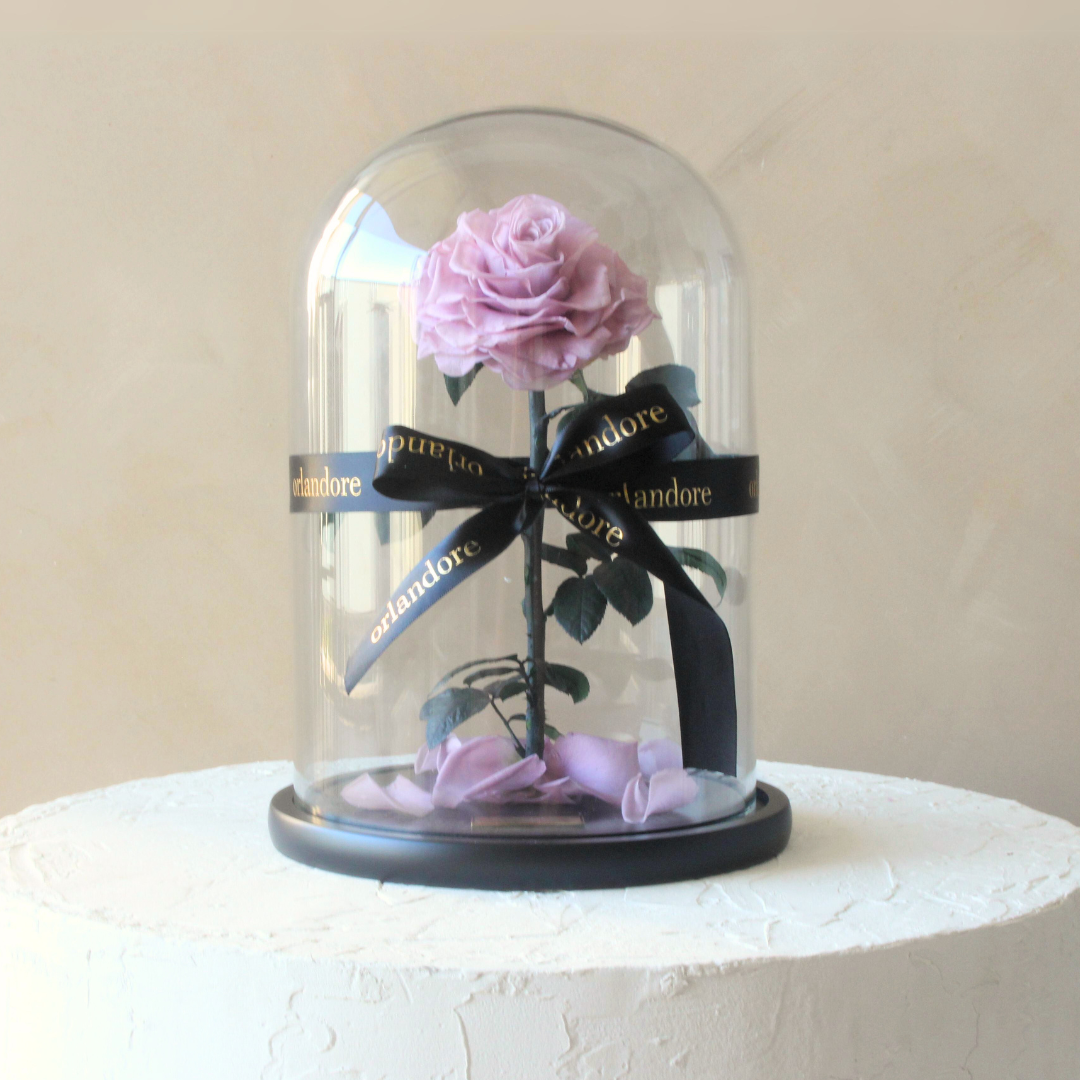 Everlasting Rose Dome | Lavender