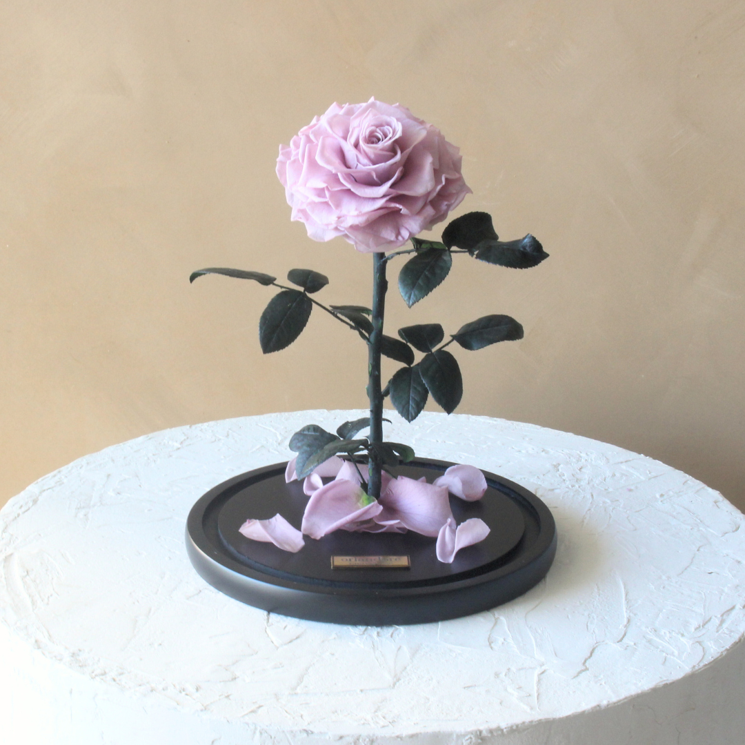 Everlasting Rose Dome | Lavender