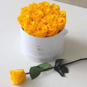 Medium Round Rose Box