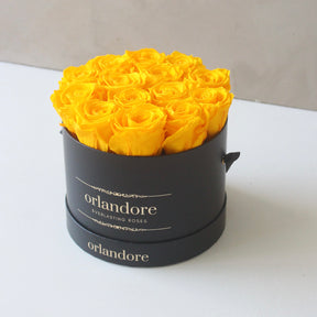 Medium Round Rose Box