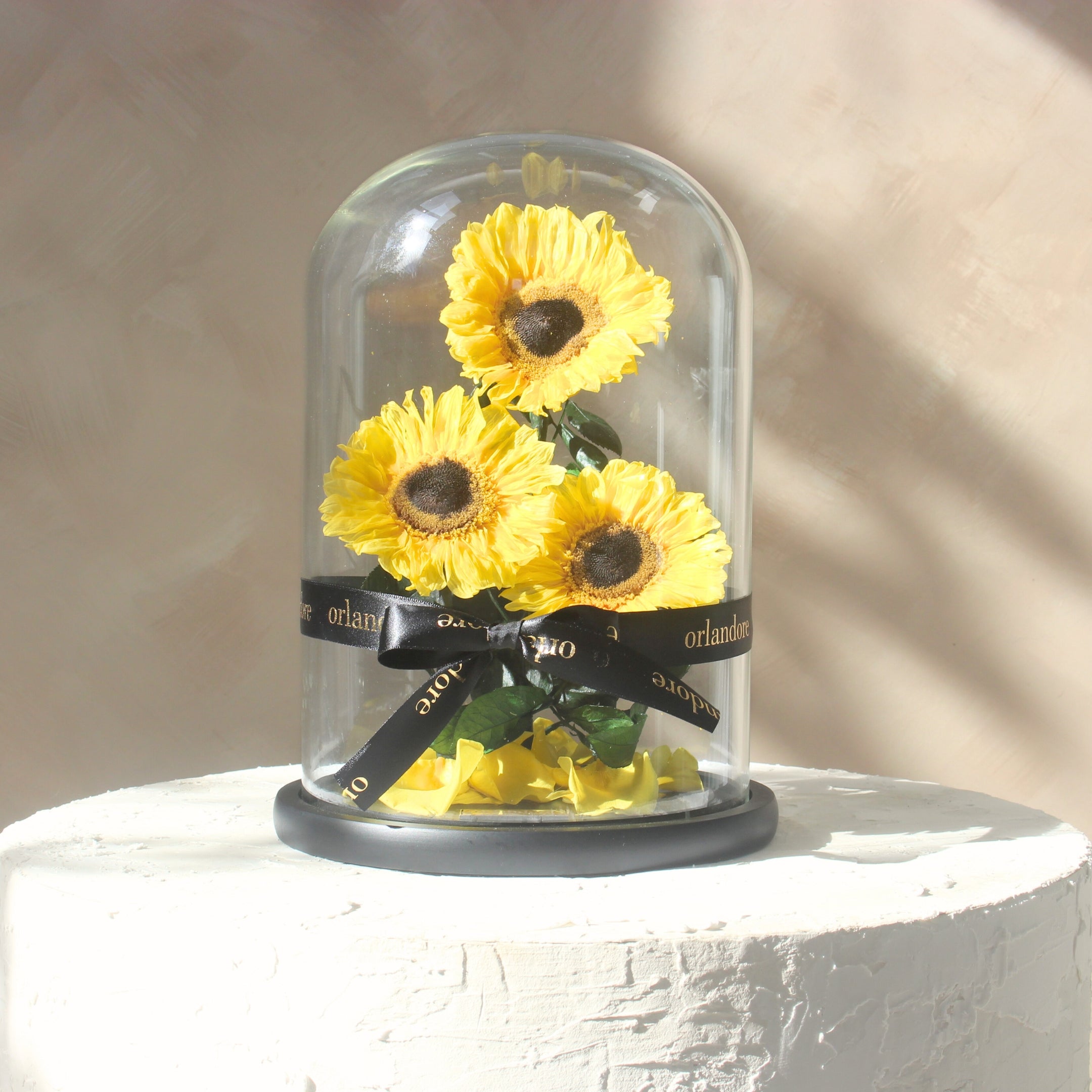 The Everlasting Sunflower Dome Trio