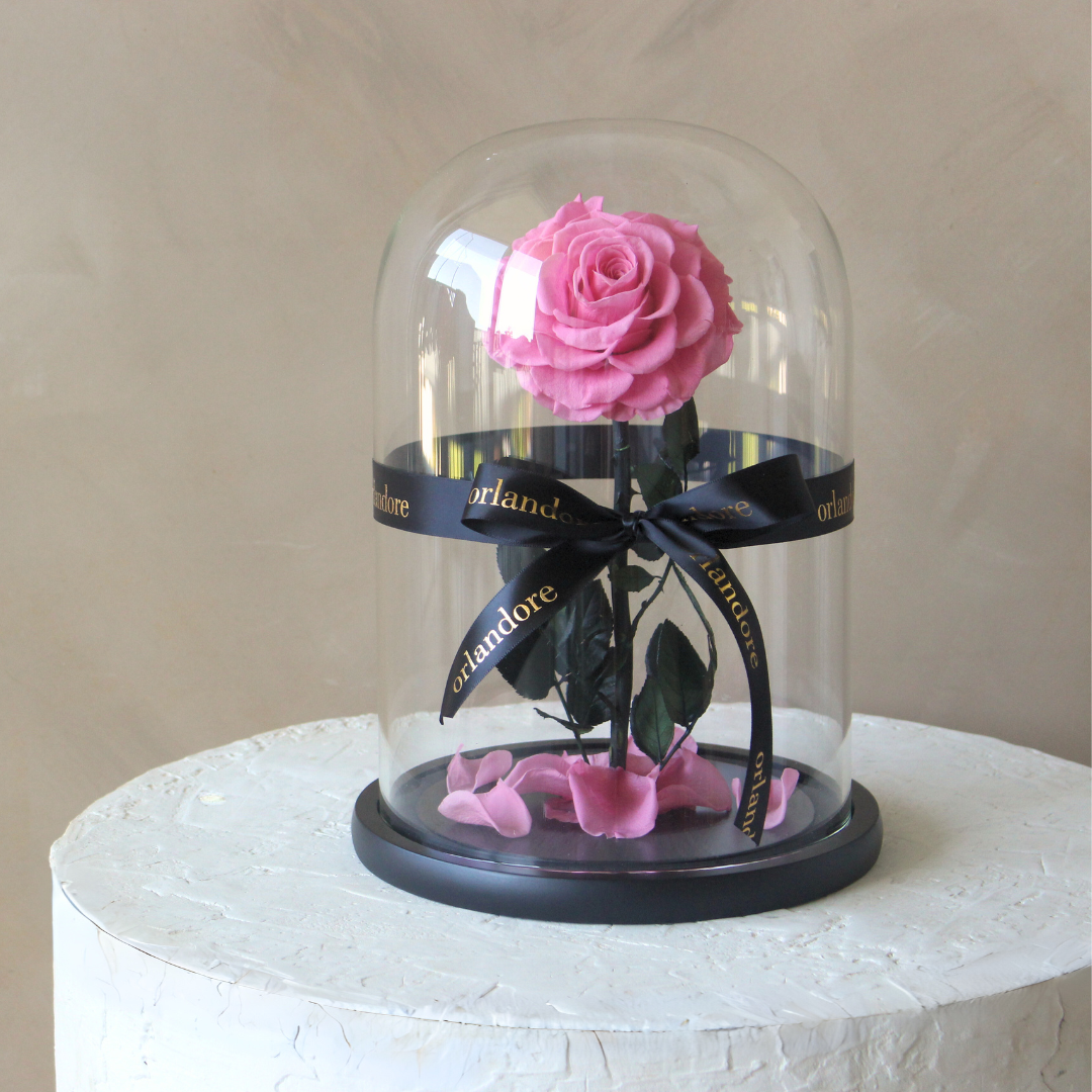 Everlasting Rose Dome | Bright Pink