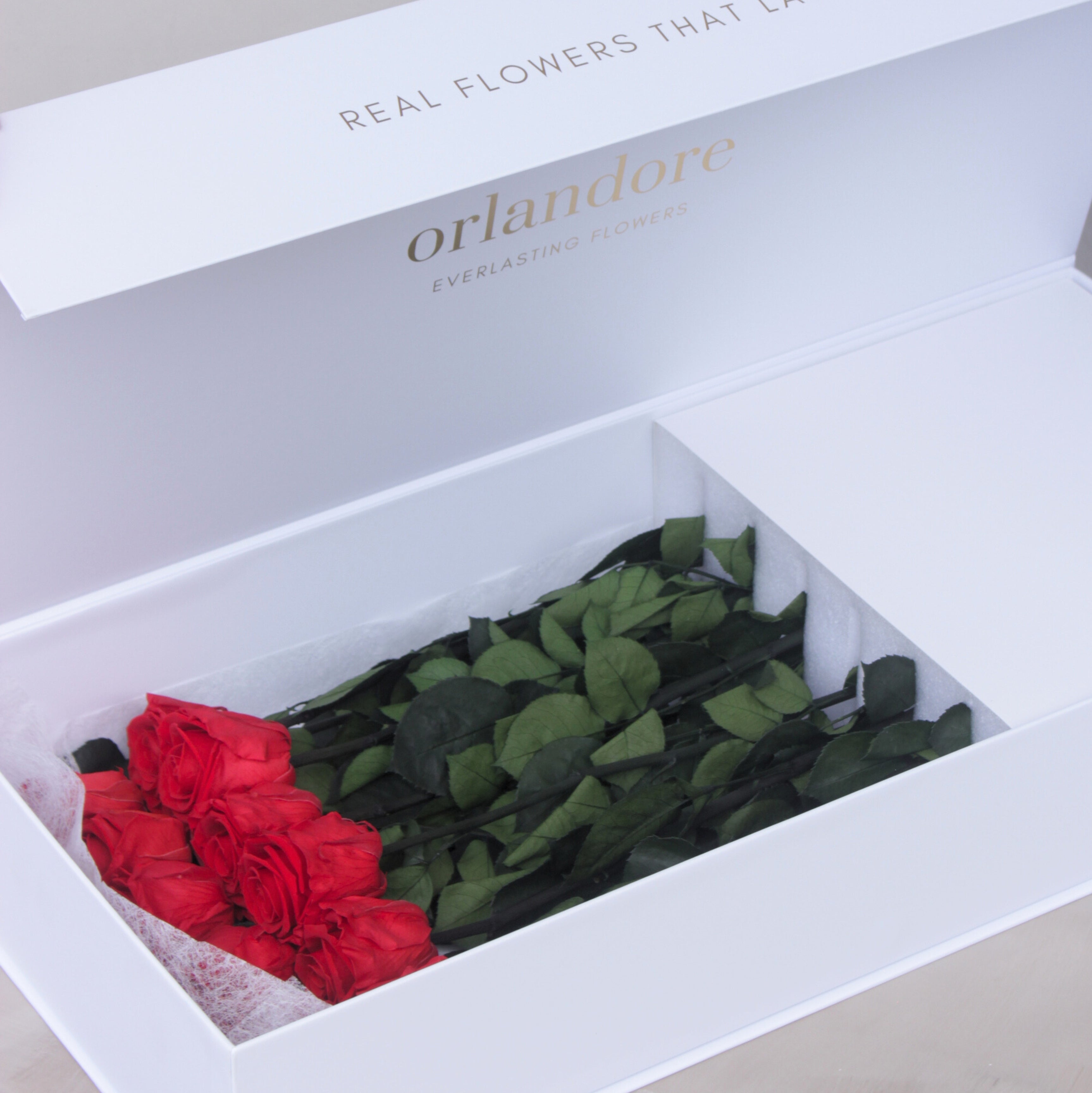 Long Stem Roses Box Long Stemmed Roses – Orlandore Everlasting Roses
