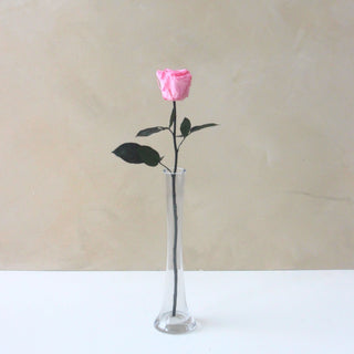 Single Everlasting Long Stemmed Rose