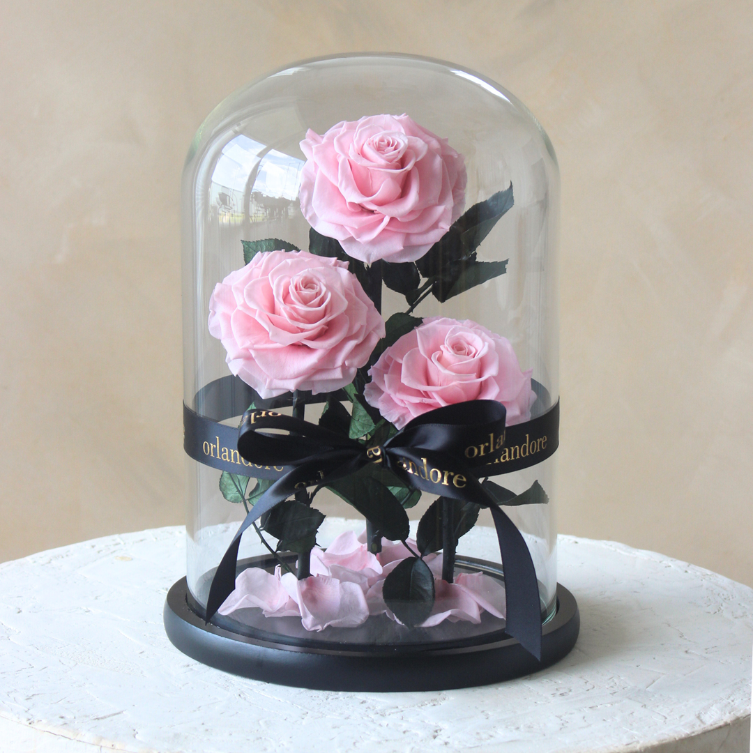 Everlasting Rose Dome Trio | Pink