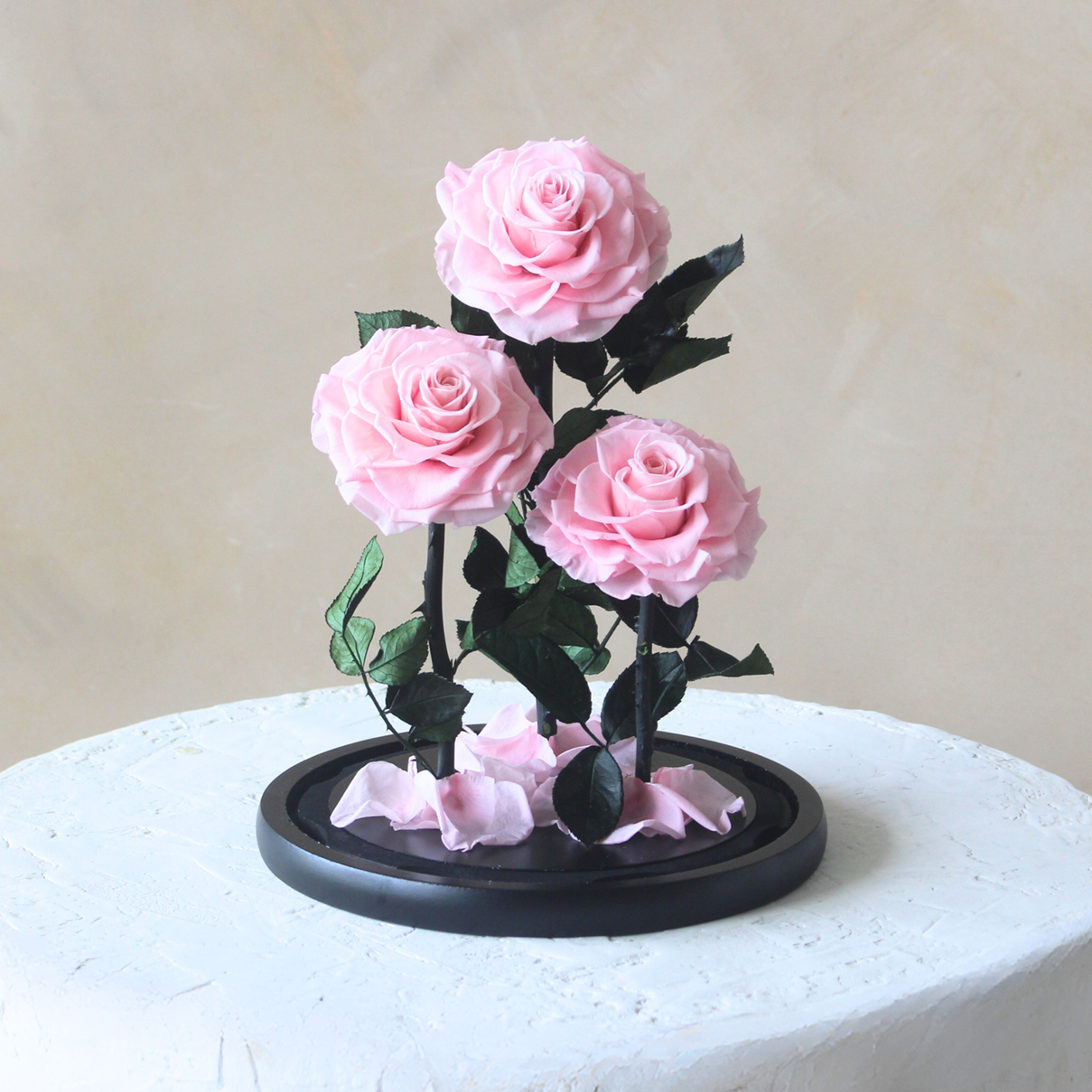 Everlasting Rose Dome Trio | Pink