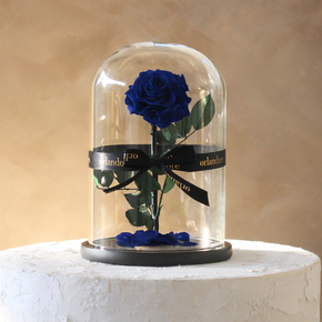Everlasting Rose Dome | Royal Blue