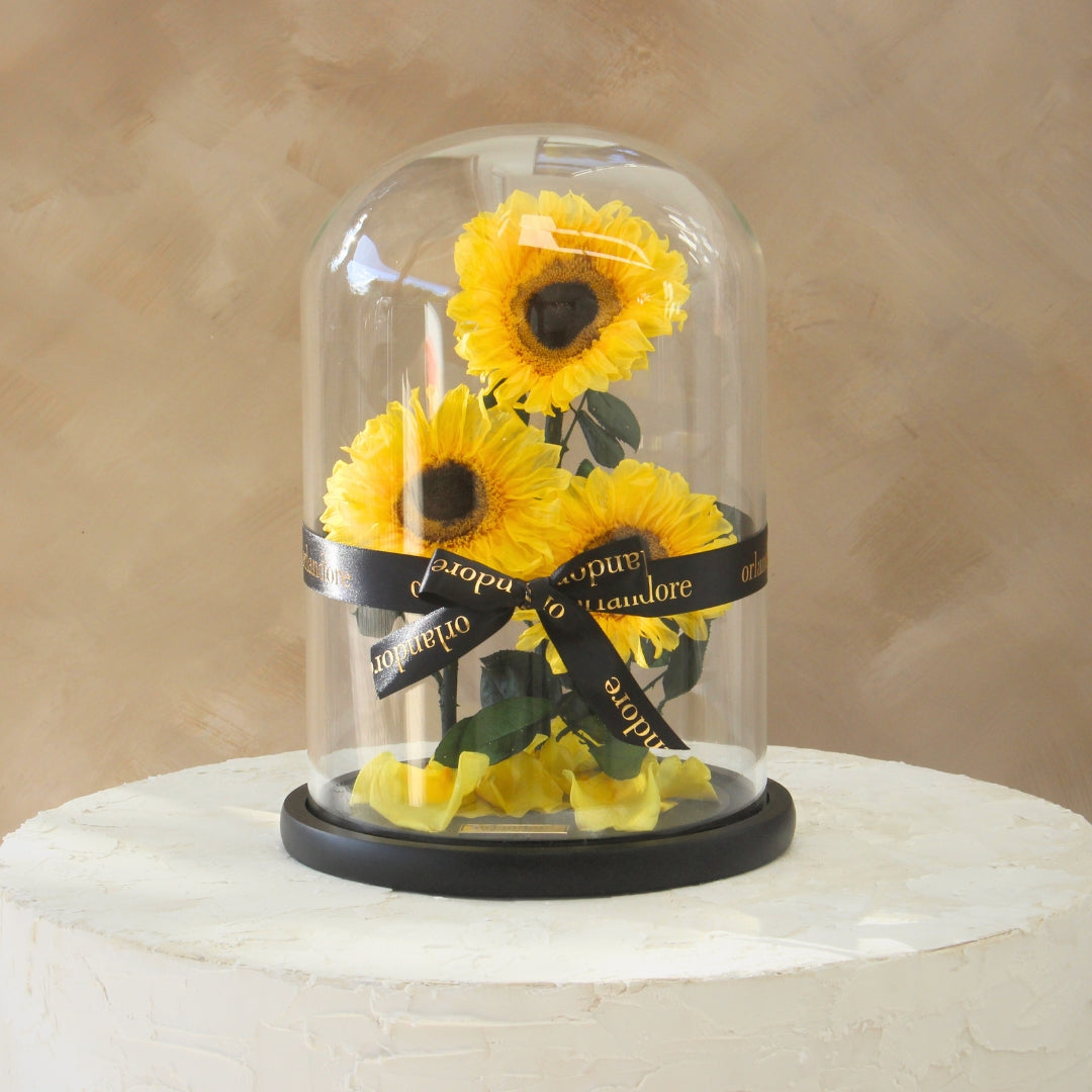 The Everlasting Sunflower Dome Trio