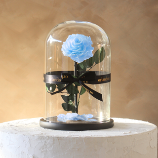 Everlasting Rose Dome | Baby Blue