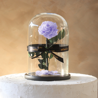 Everlasting Rose Dome | Lavender