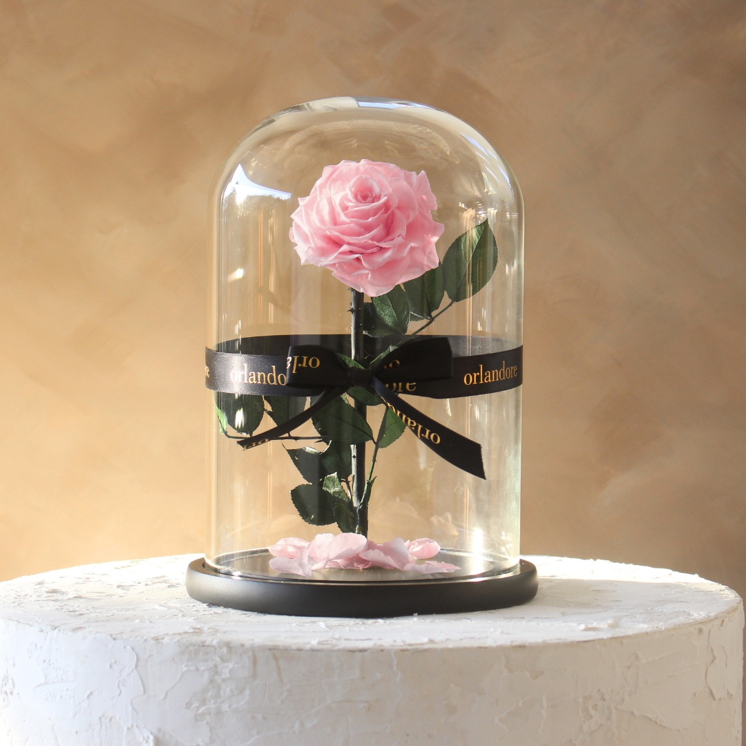 Everlasting Rose Dome | Pink