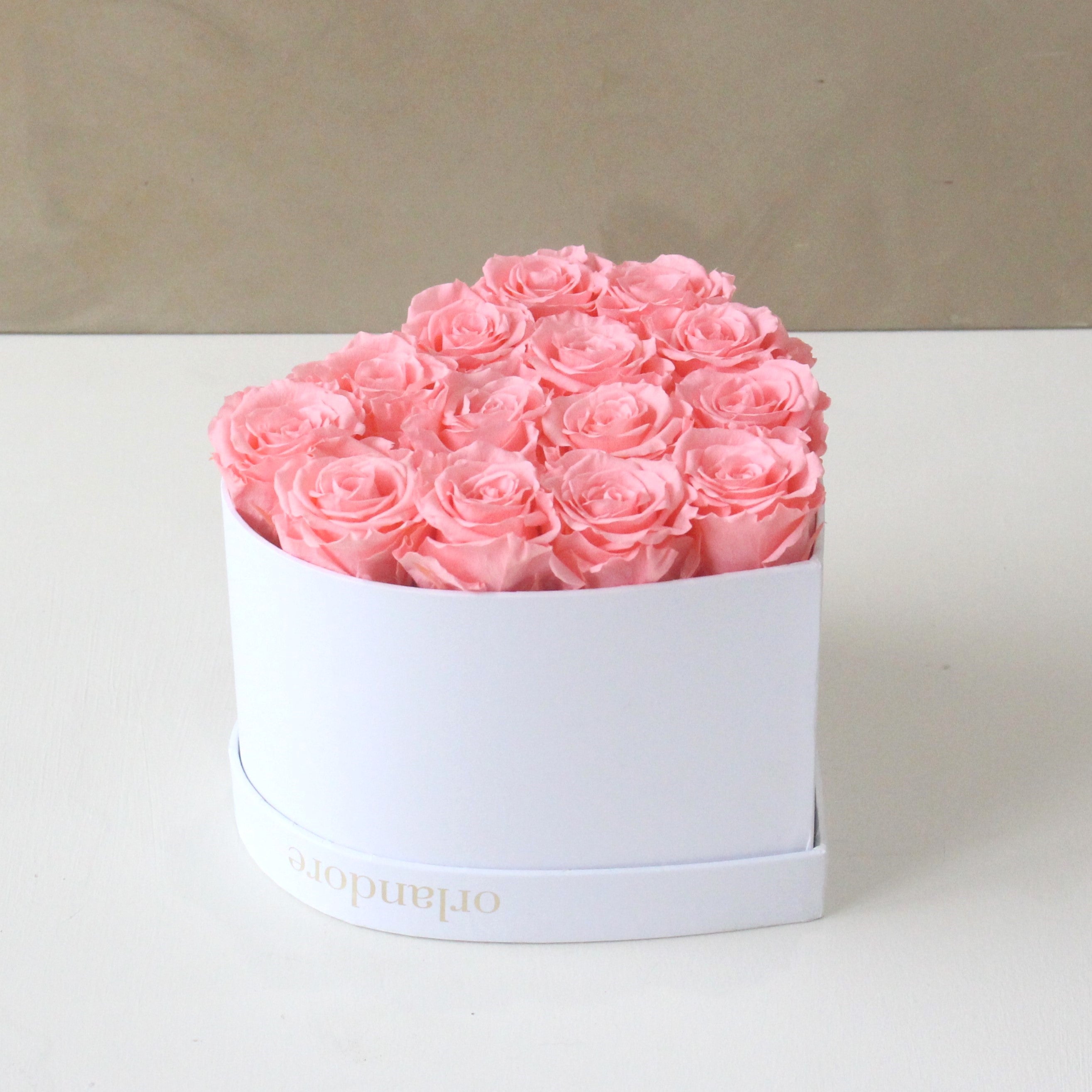 Limited Edition Coral Roses