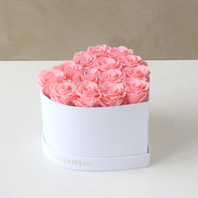 Limited Edition Coral Roses