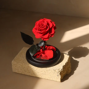 Mini Everlasting Rose Dome | Red