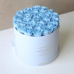 Large Round Rose Box