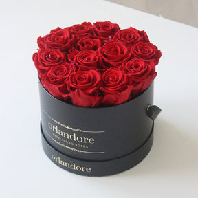 Medium Round Rose Box