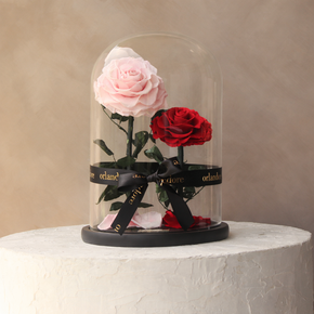 Everlasting Rose Dome Duo | Red + Pink