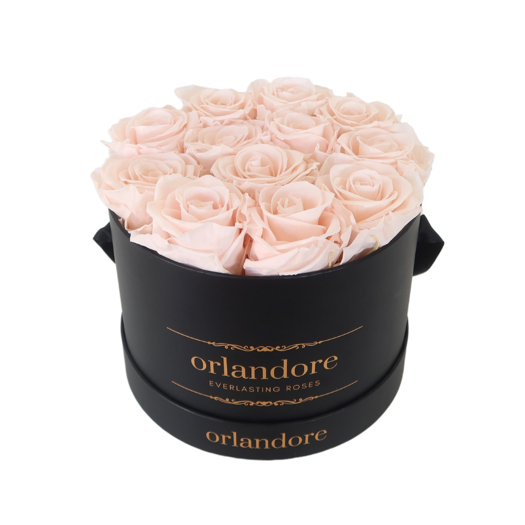 Everlasting Rose Dome – Orlandore Everlasting Roses