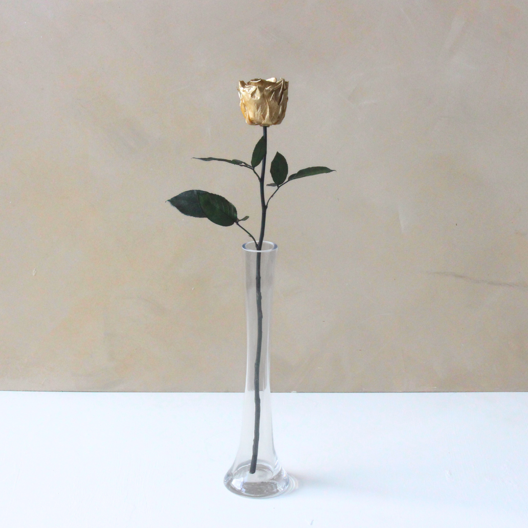 Single Everlasting Long Stemmed Rose