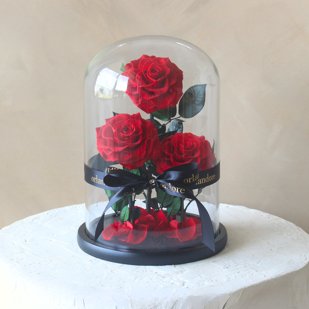 Everlasting Rose Dome Trio | Red