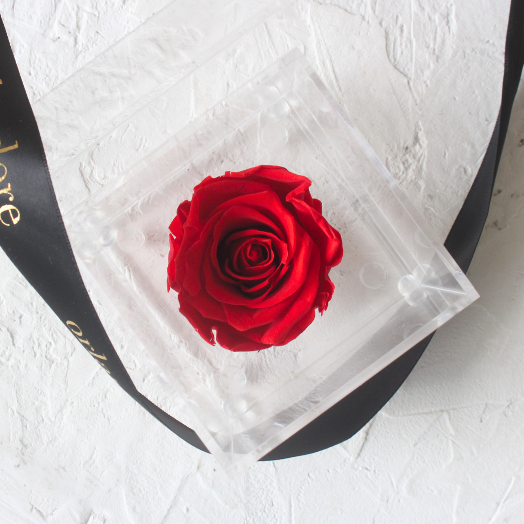 Single Acrylic Rose Box