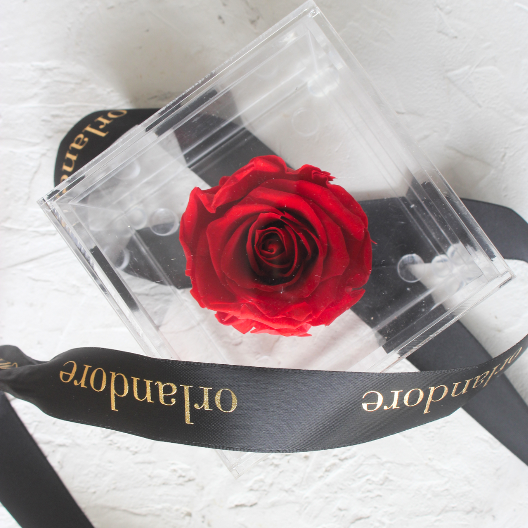 Single Acrylic Rose Box