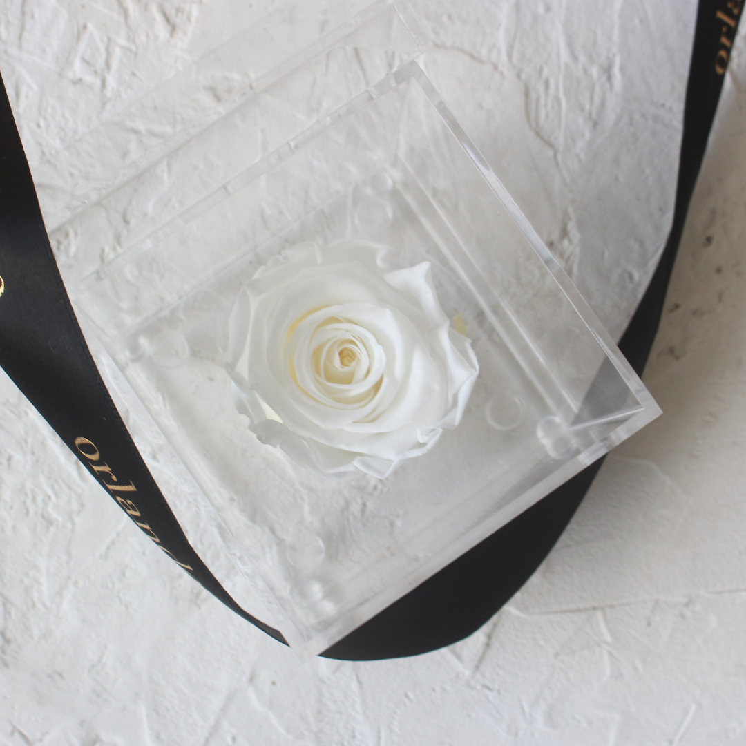 Single Acrylic Rose Box