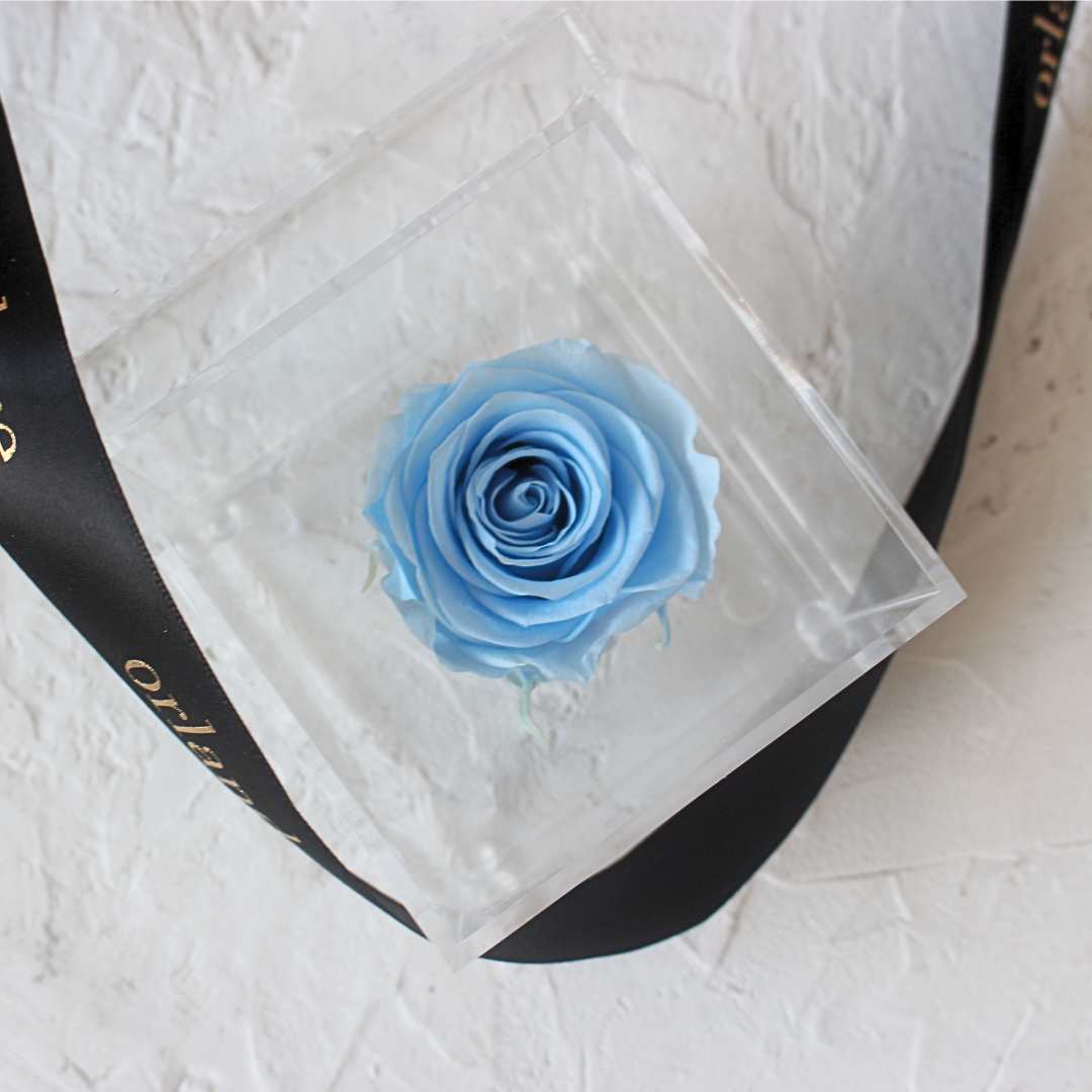 Single Acrylic Rose Box