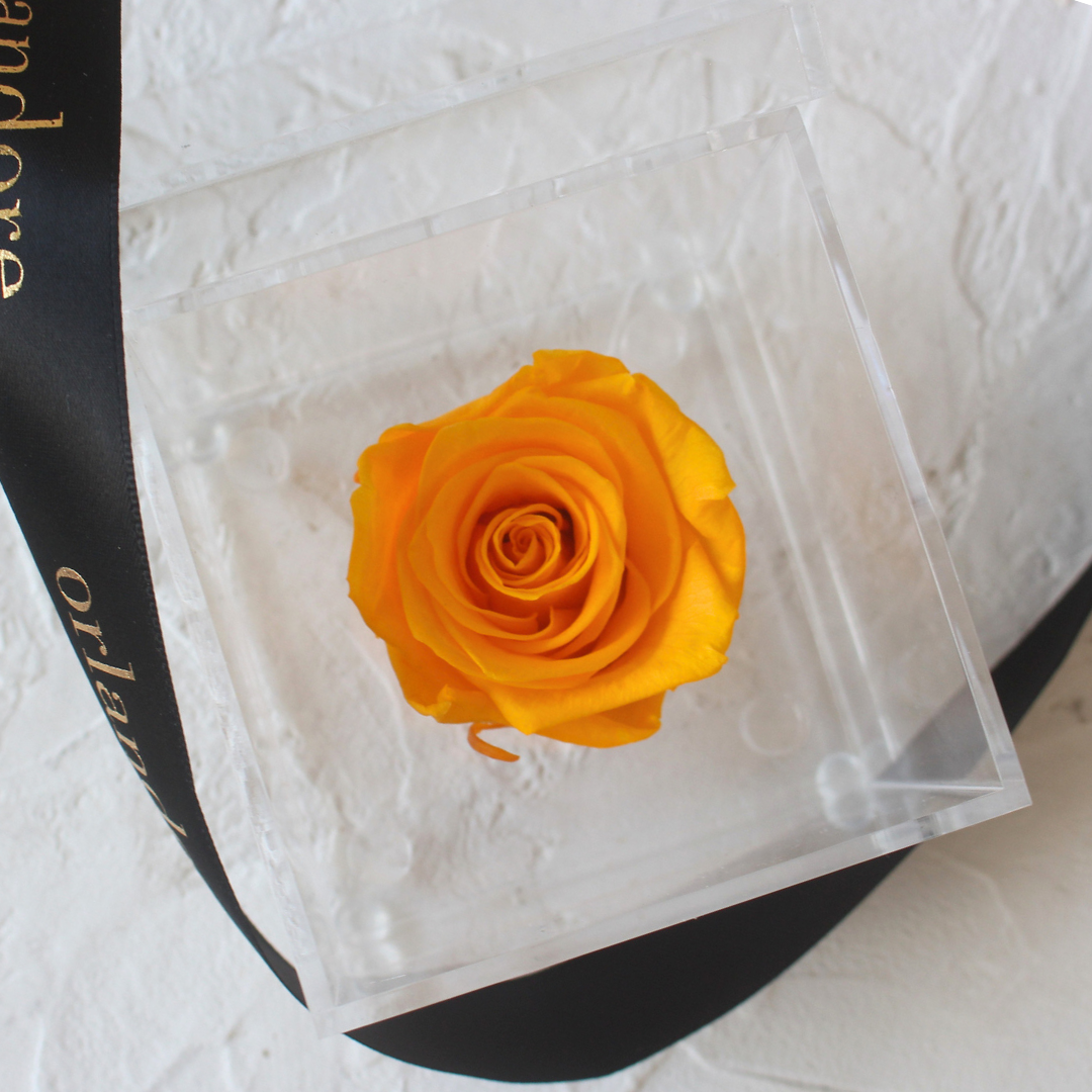 Single Acrylic Rose Box