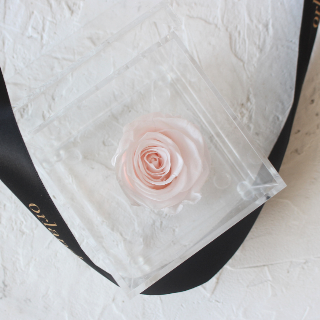 Single Acrylic Rose Box