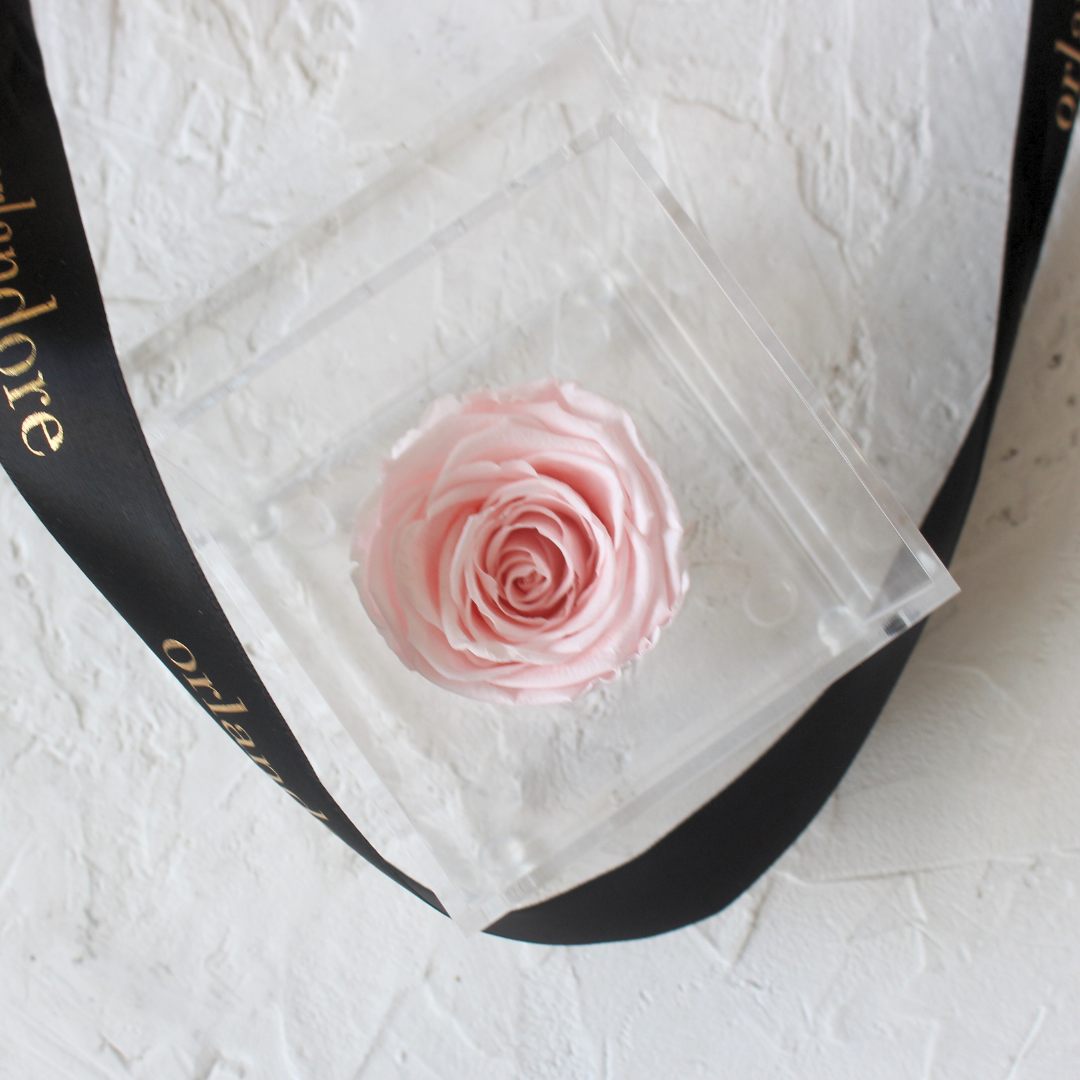 Single Acrylic Rose Box