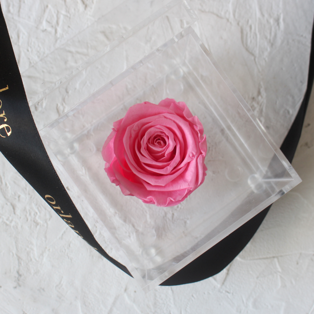 Single Acrylic Rose Box