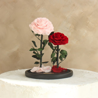 Everlasting Rose Dome Duo | Red + Pink