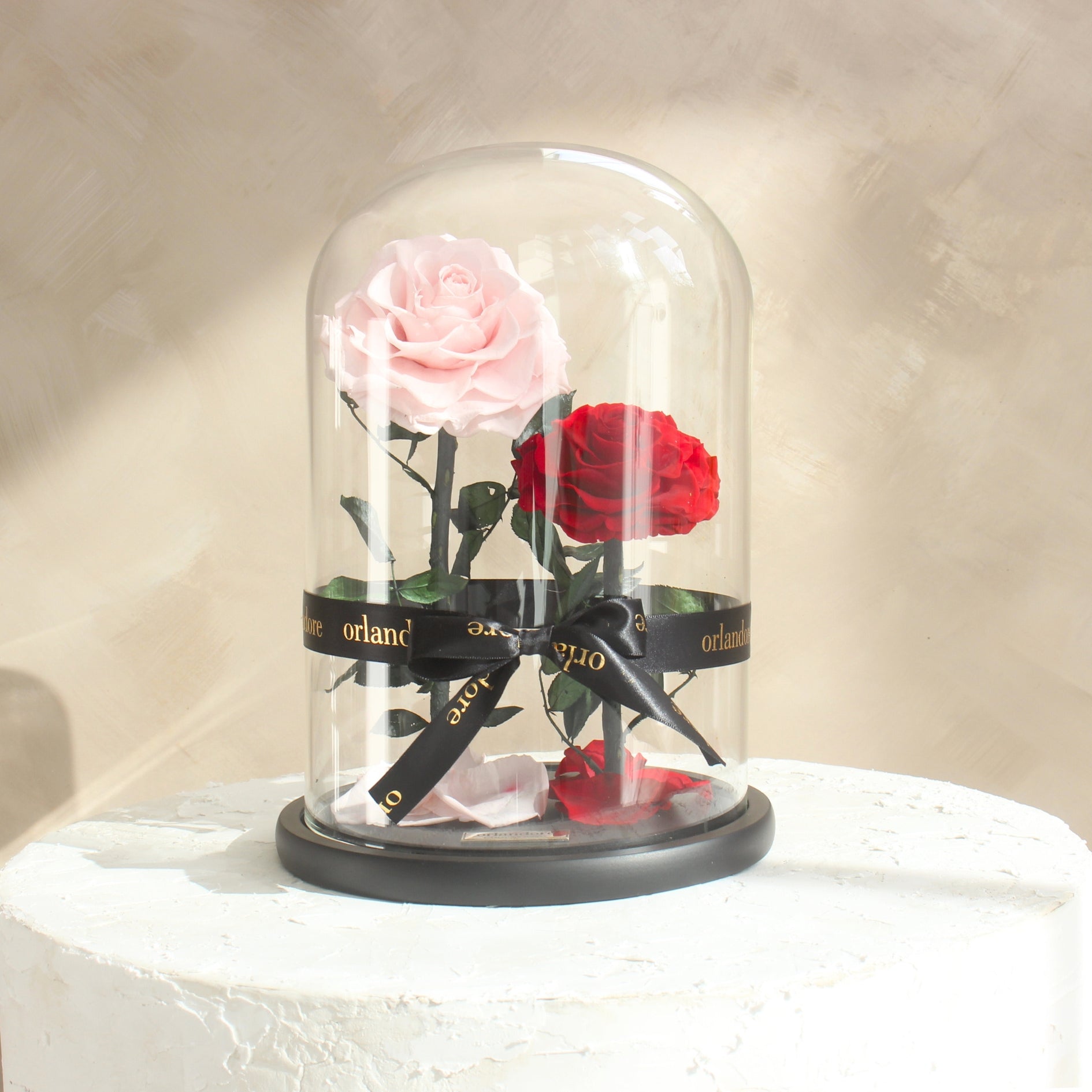 Everlasting Rose Dome Duo | Red & Pink