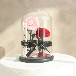 Everlasting Rose Dome Duo | Red + Pink