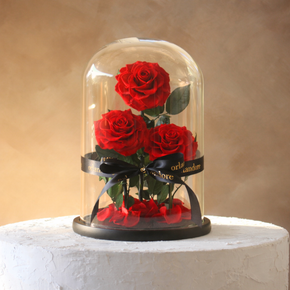 Everlasting Rose Dome Trio | Red