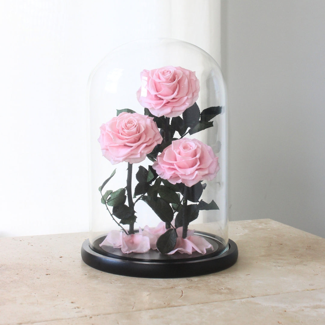 Everlasting Rose Dome Trio | Pink