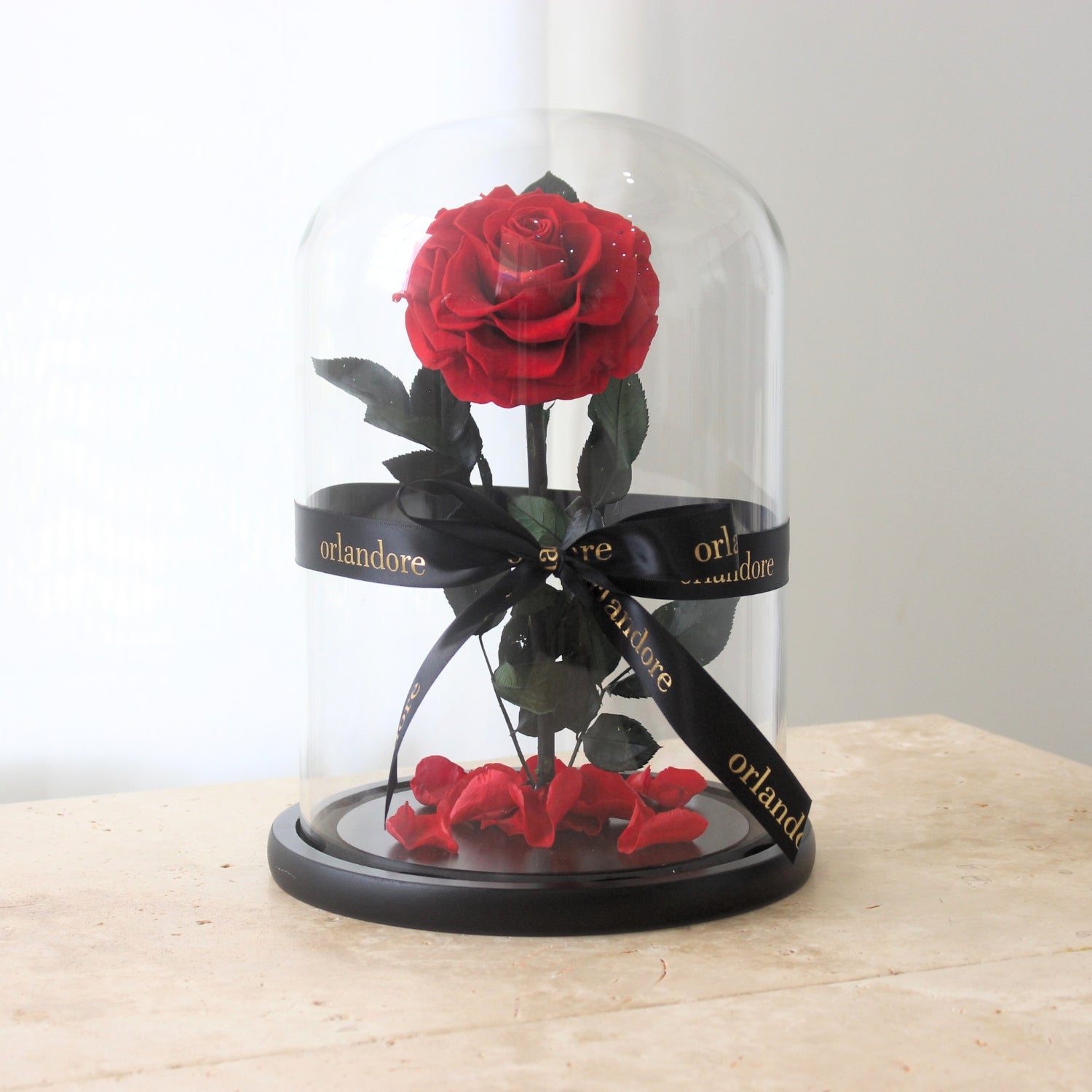 Everlasting Rose Dome | Red