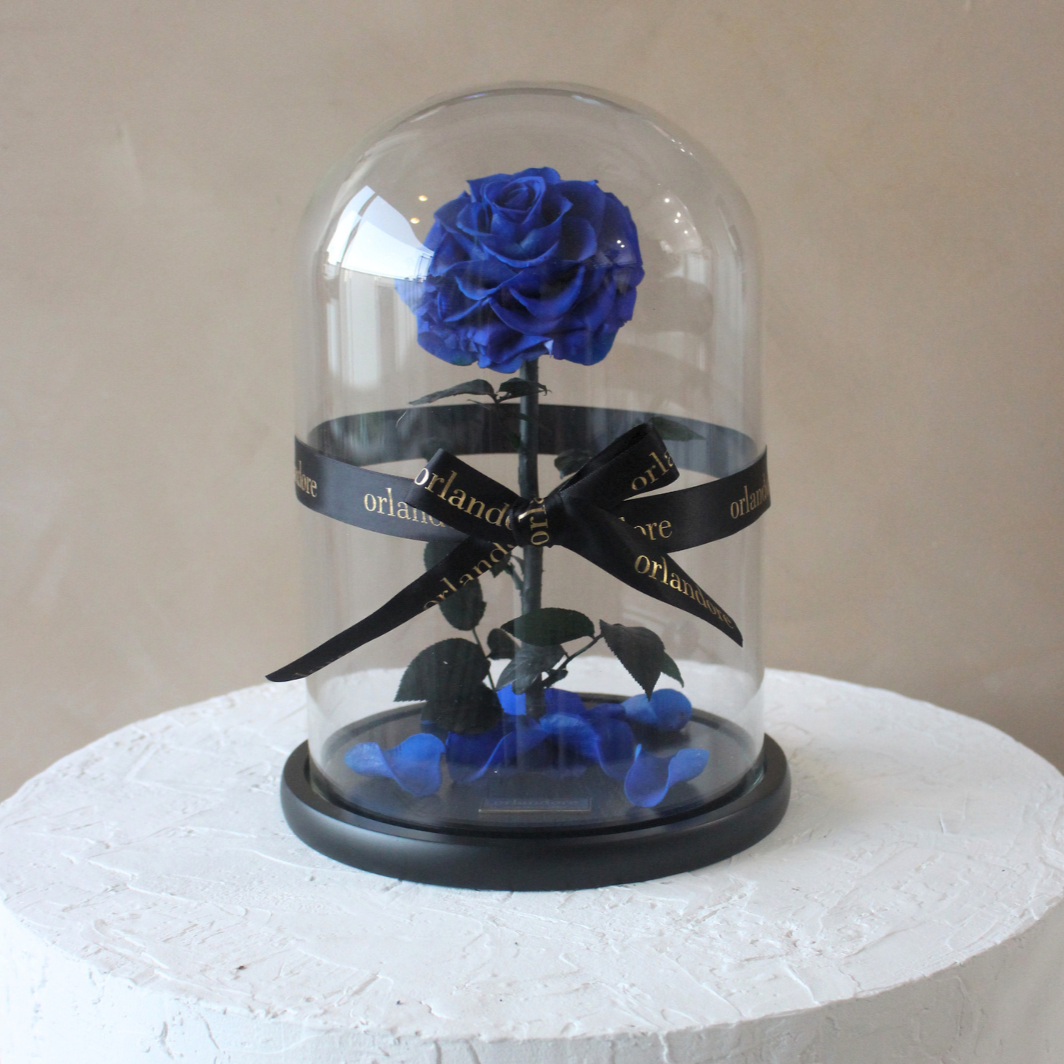 Everlasting Rose Dome | Royal Blue