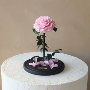 Everlasting Rose Dome | Pink