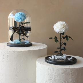 Everlasting Rose Dome | Baby Blue