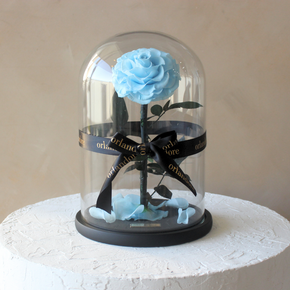 Everlasting Rose Dome | Baby Blue